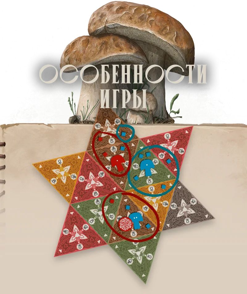 Грибы особенности m