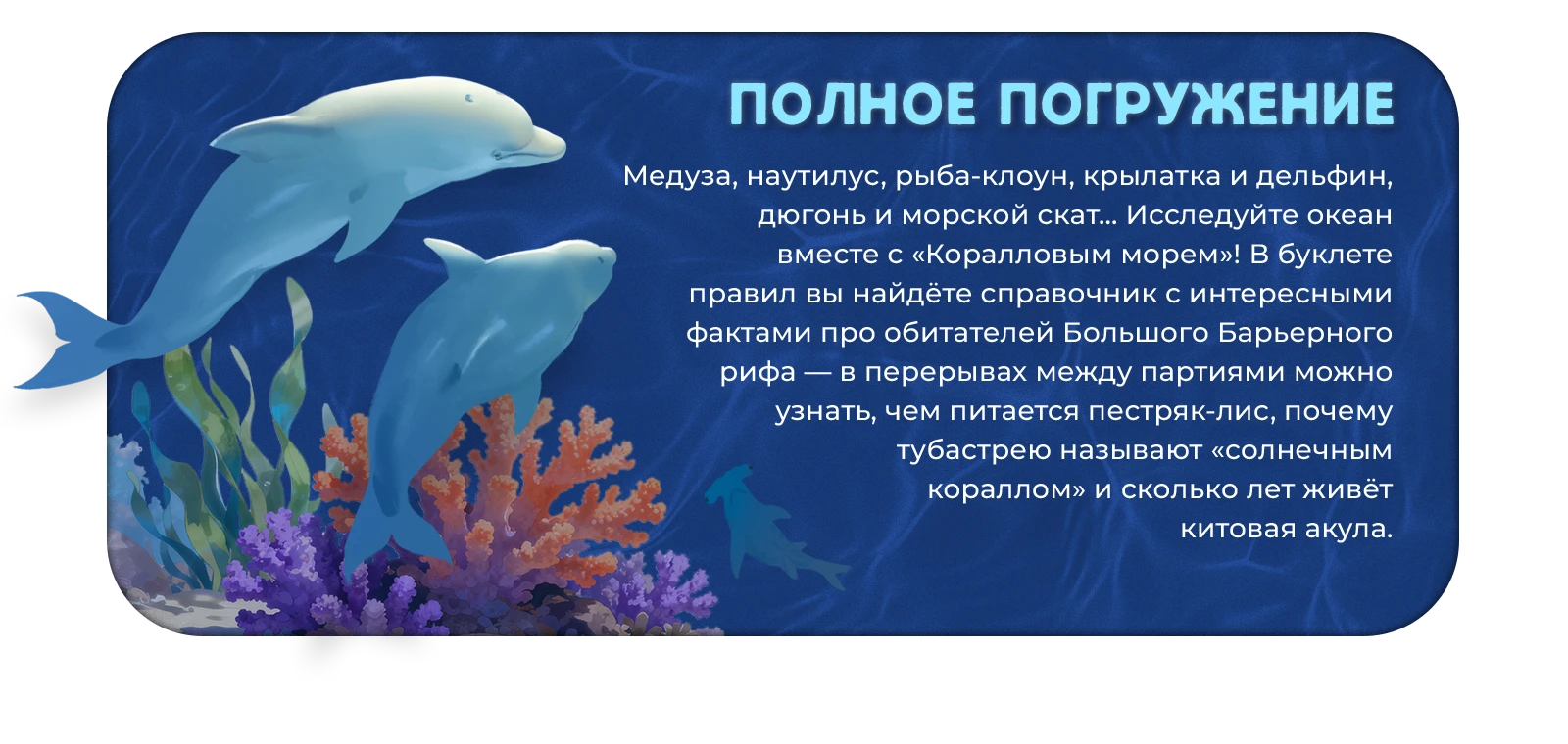 Особенности 3