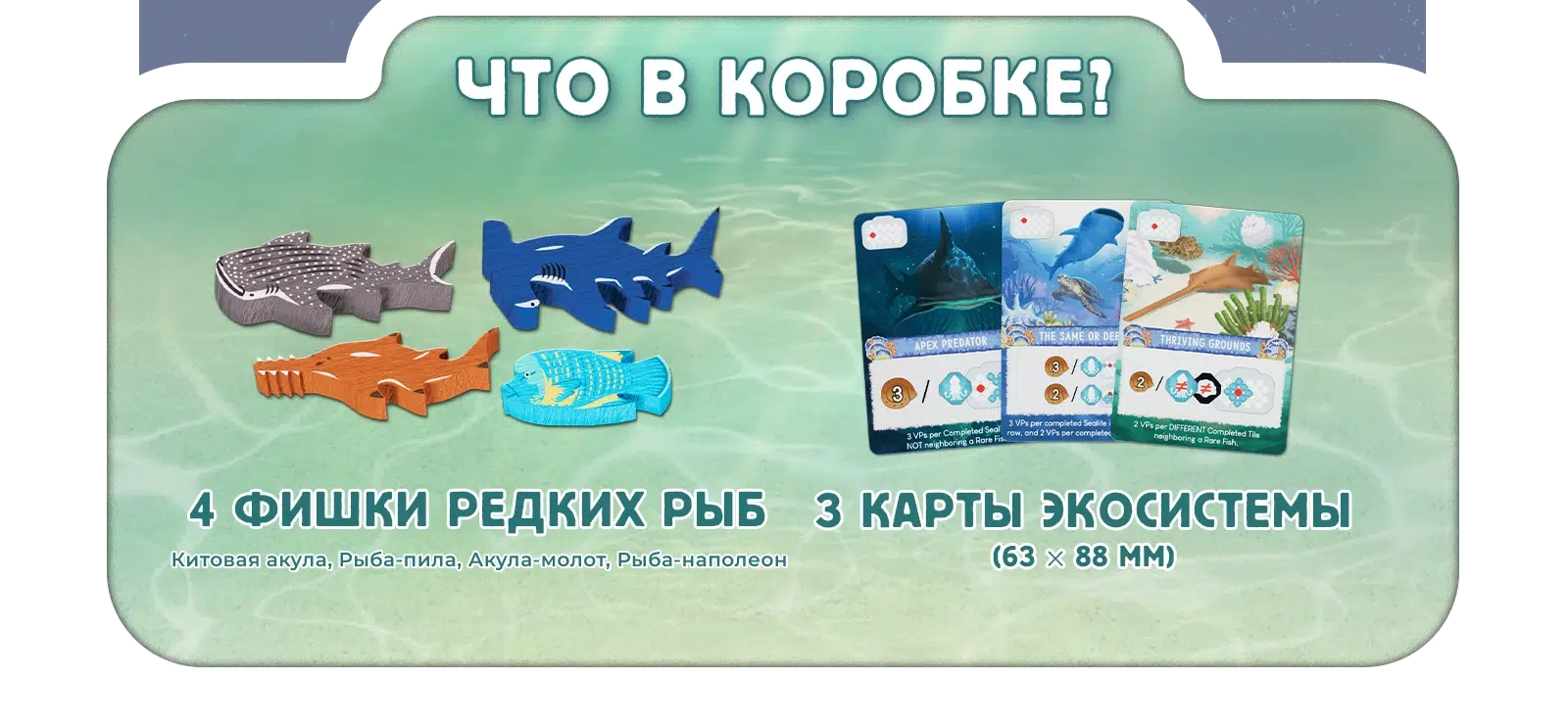 Редкие виды 2