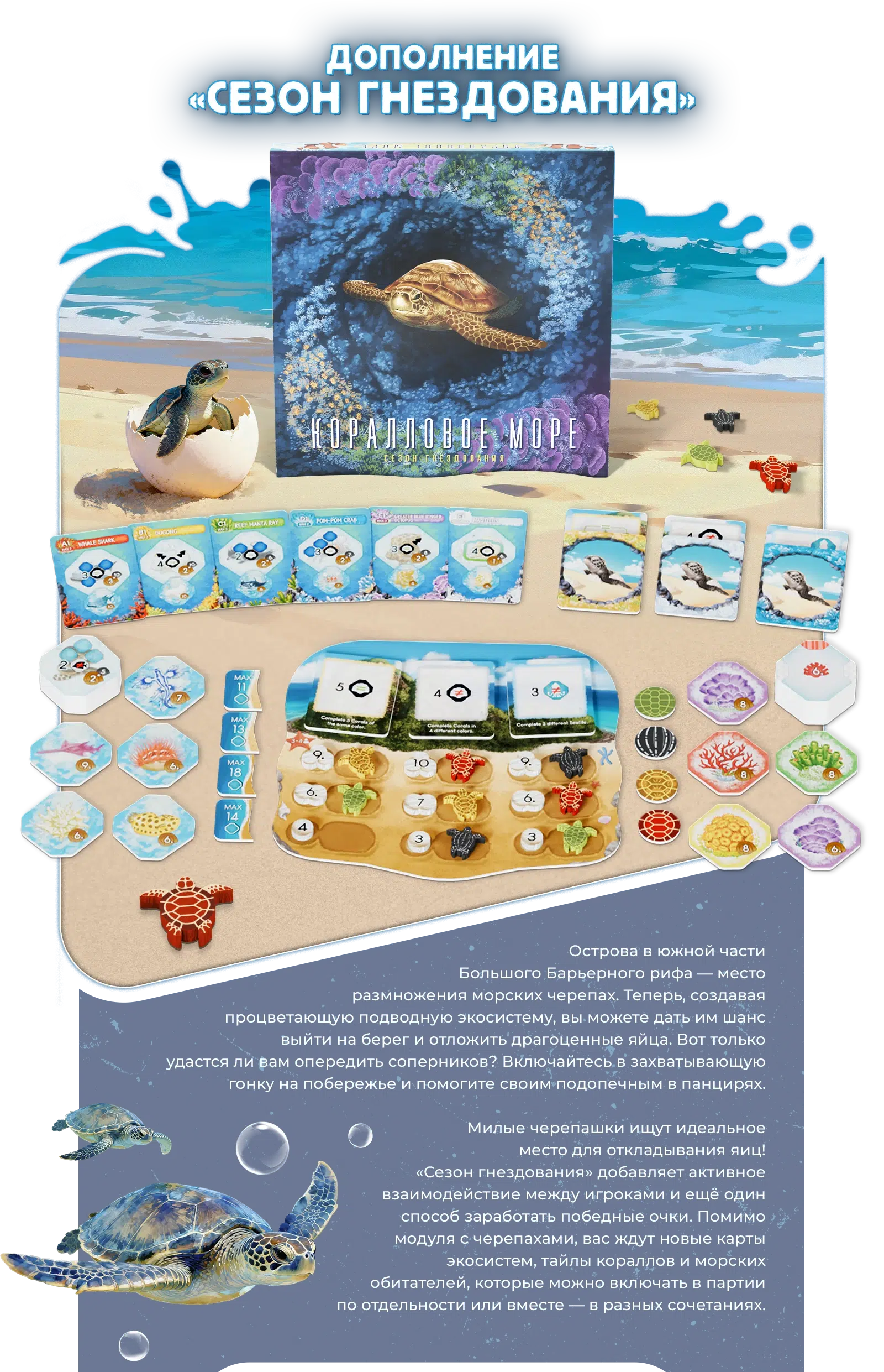 Сезон гнездования 1