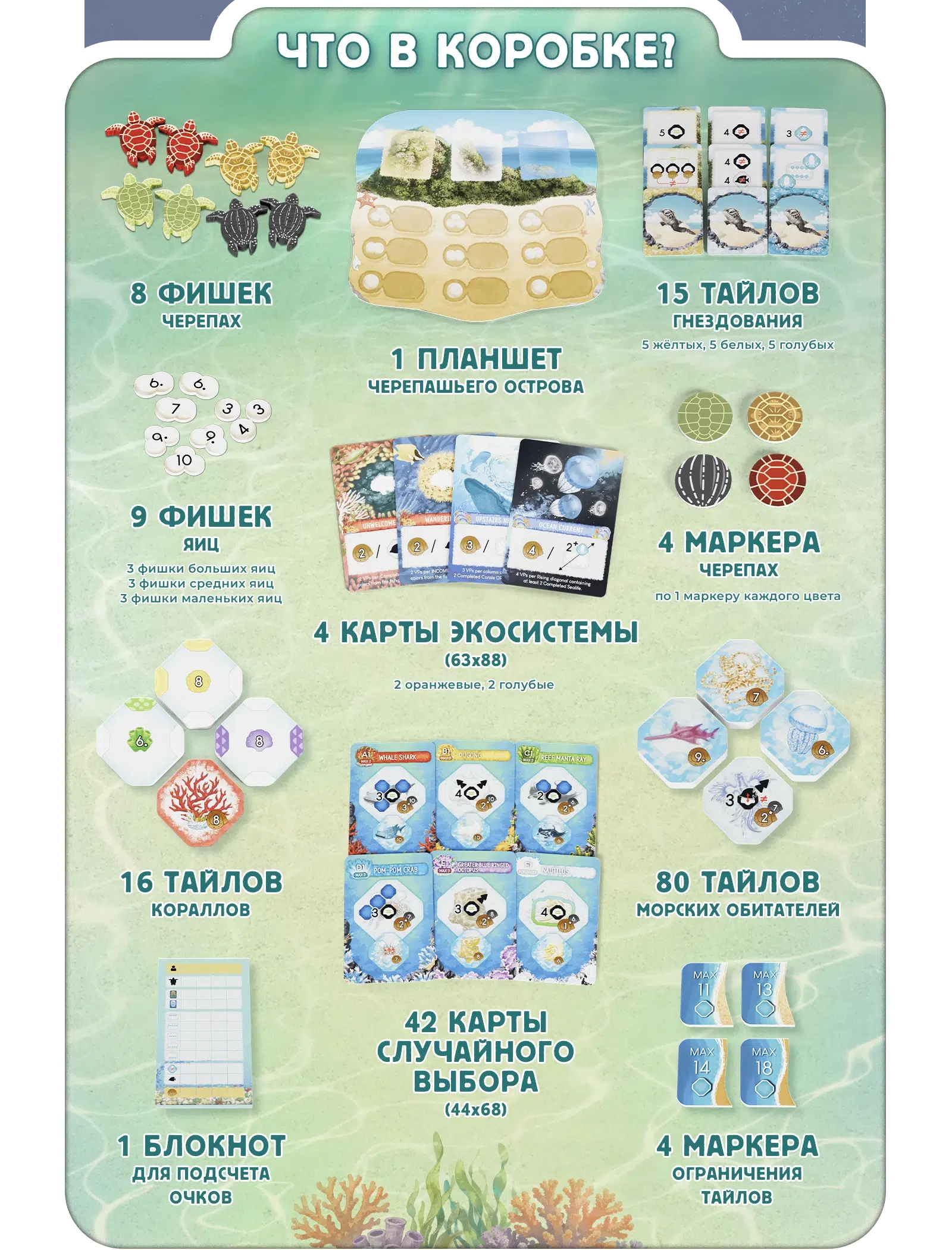 Сезон гнездования 2